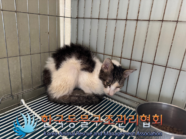 한국동물구조관리협회_411315202400614